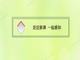 新人教版高中英语选择性必修第四册Unit5LaunchingYourCareerSectionⅡLearningAboutLanguage课件