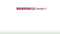 外研版高中英语必修1Module5ALessoninaLab模块素养培优课件