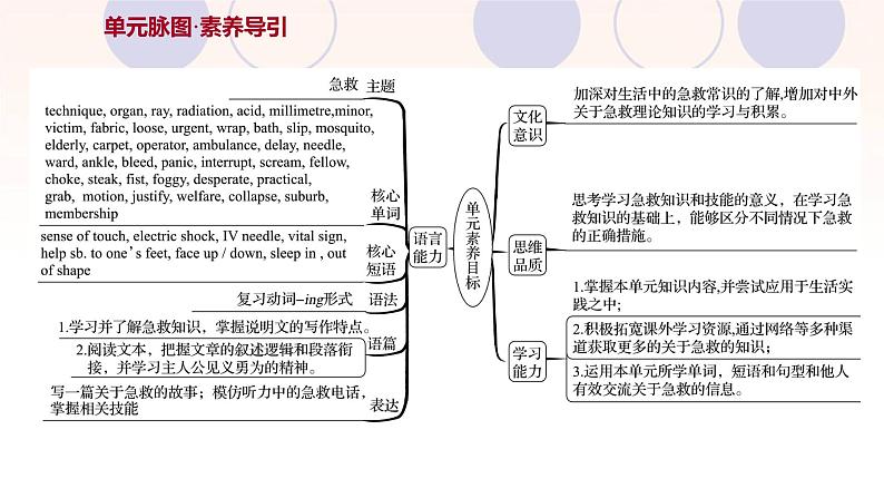 浙江专用新人教版高中英语选择性必修2Unit5FirstAid课件02