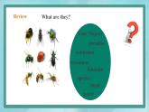 上外版2020高中英語必修二Unit 1 Nature Period 2 Digging in(Comprehension and Vocabulary Focus)課件