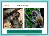 上外版2020高中英語(yǔ)必修二Unit 2 Animals Period 1 Reading A 課件