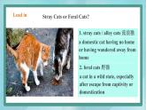 上外版2020高中英語(yǔ)必修二unit 2 animals Period 5課件
