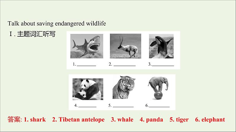 2021_2022新教材高中英语Unit2WildlifeProtectionListeningandSpeaking课件新人教版必修第二册第2页