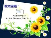 外研版（2019） 必修第一册 Unit 2 Exploring English  Language points P14-15 (2)课件PPT（共12张）