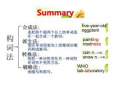 外研版（2019） 必修第一册 Unit 2 Exploring English  Using language P17课件PPT（共10张）
