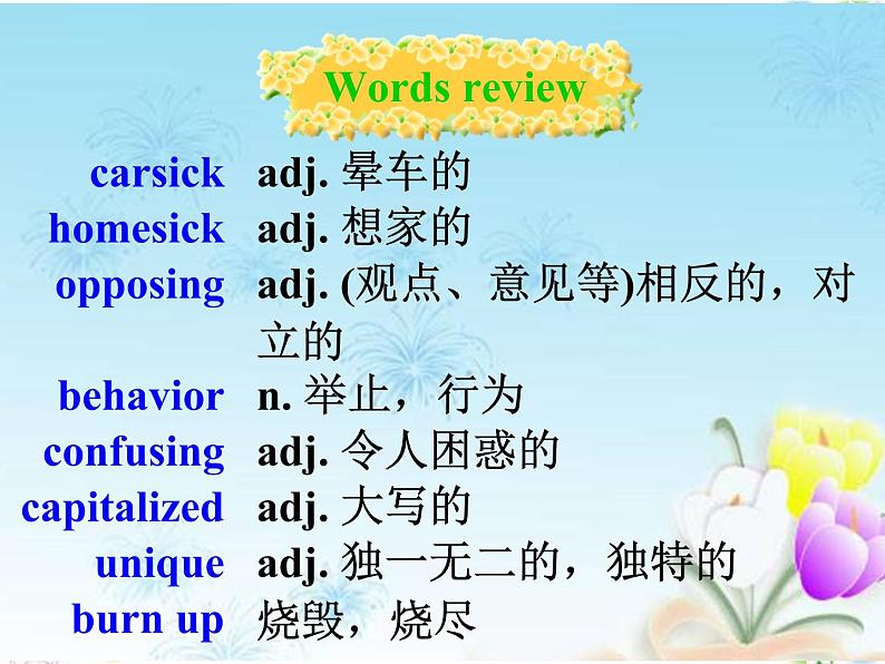 外研版（2019） 必修第一册 Unit 2 Exploring English  Review of words and expressions P106-108课件PPT（共11张）第4页