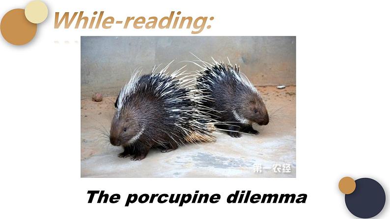 高中英语 外研版—B3 Unit1 Knowing me, knowing you 第6课时—Writing an essay课件第5页