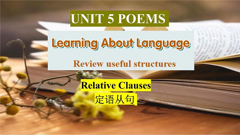 人教版2019年选择性必修三Unit5Review useful structure课件01