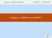 北师大版高中英语必修第三册unit9 learning section b lesson 2 and lesson课件