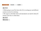 外研版必修二Unit1Food for thoughtUsing language PPT