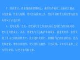 外研版（2019）高中英语必修第一册unit2 exploring english period4课件