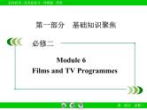 外研版高三英语一轮必修2 Module 6复习课件