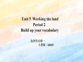 人教版 2019 高中选择性必修1英语 Unit5 Working the land Period 2 Build up your vocabulary 课件+教案