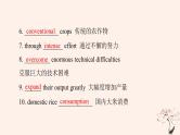 2023版高考英语一轮总复习教材复习Unit5WorkingTheLand课件新人教版选择性必修第一册