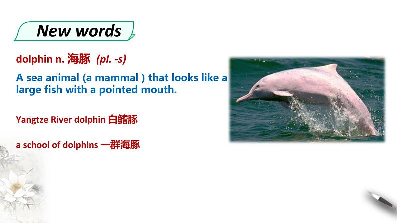 高中英语必修二 Wildlife protection unit Period 4 Reading for writing 课件第2页