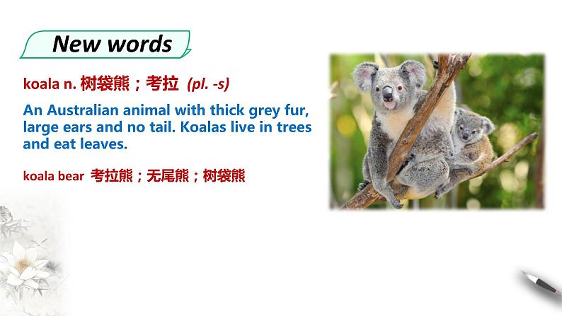 高中英语必修二 Wildlife protection unit Period 4 Reading for writing 课件第3页