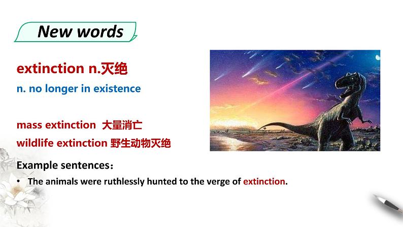 高中英语必修二 Wildlife protection unit Period 1 Listening and Speaking课件07