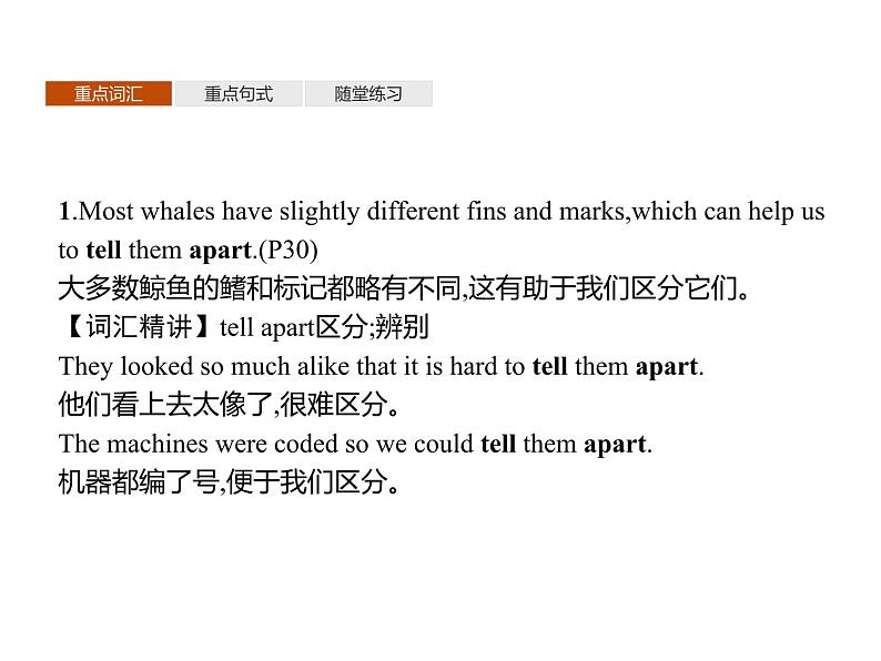 高中英语选择性必修四   Unit 3　Section C　Using Language (Ⅰ) 课件06