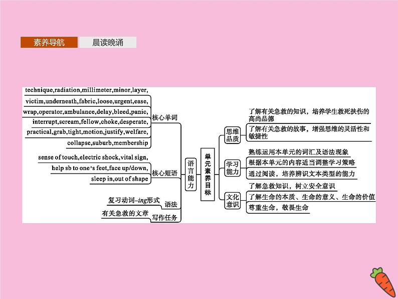 高中英语选择性必修二 Unit5FIRSTAIDSectionAReadingandThinking课件02