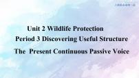 高中英语Unit 2 Wildlife protection评课ppt课件