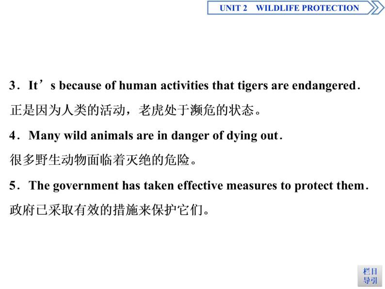 高中英语必修二  UNIT 2 Wildlife protection   Section ⅤWriting课件05