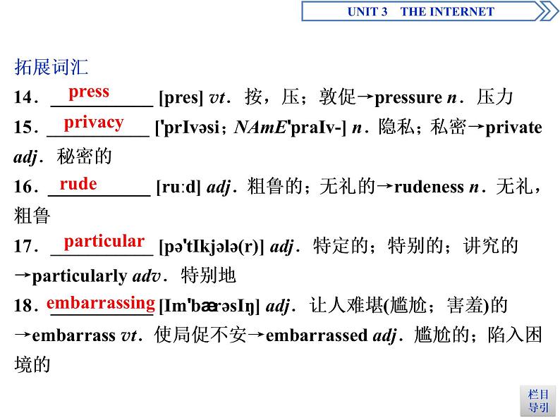 Unit 3 The internet Section Ⅳ教学课件05