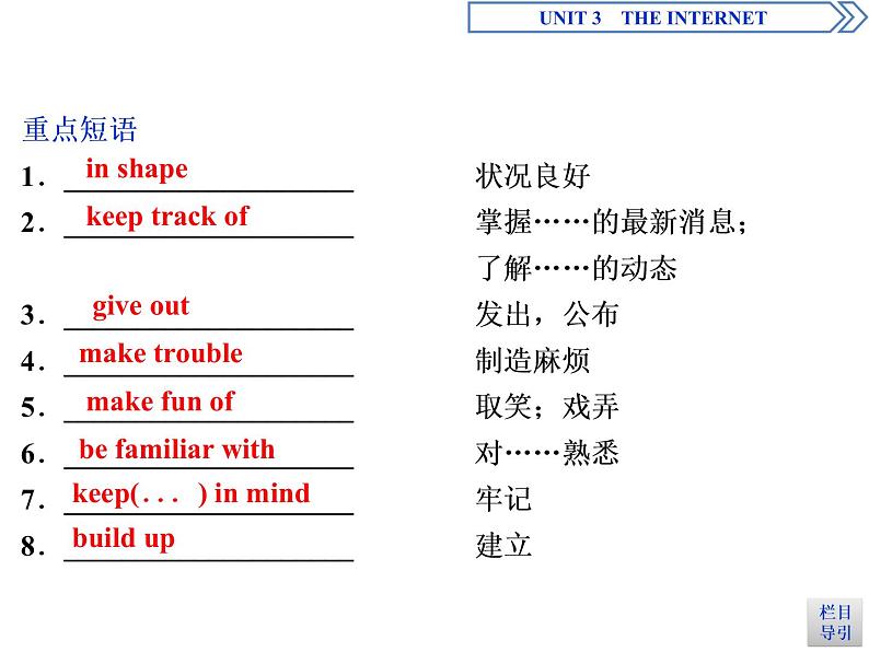 Unit 3 The internet Section Ⅳ教学课件08