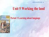 高中英语人教版 (2019) 选择性必修一    5.3 Learning about language 课件(共22张)