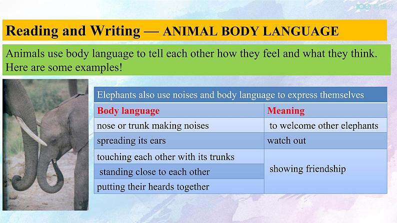 高中英语人教版 (2019) 选择性必修一    4.4 Reading for writing-Using language 2 课件(共17张)第4页