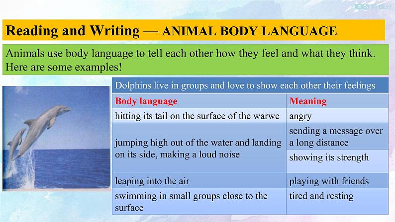 高中英语人教版 (2019) 选择性必修一    4.4 Reading for writing-Using language 2 课件(共17张)第5页