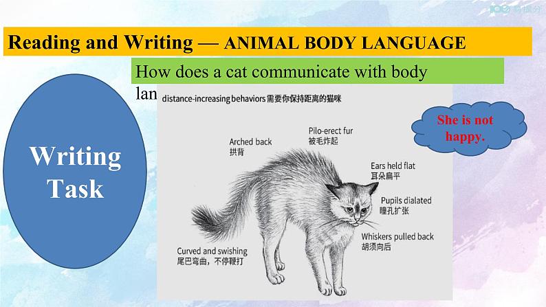 高中英语人教版 (2019) 选择性必修一    4.4 Reading for writing-Using language 2 课件(共17张)第7页