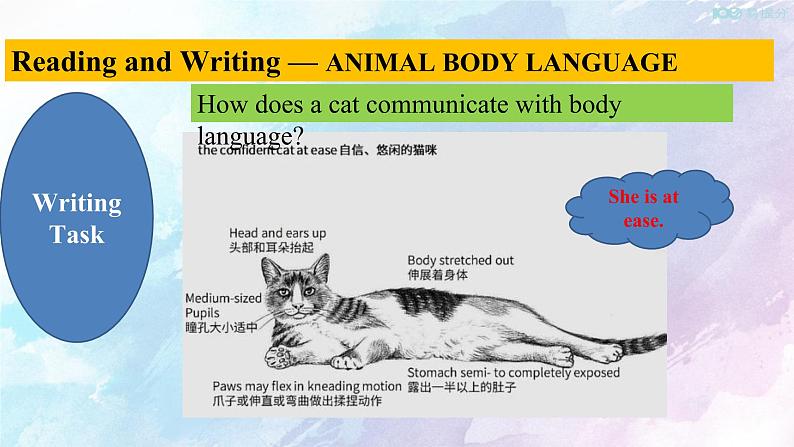 高中英语人教版 (2019) 选择性必修一    4.4 Reading for writing-Using language 2 课件(共17张)第8页