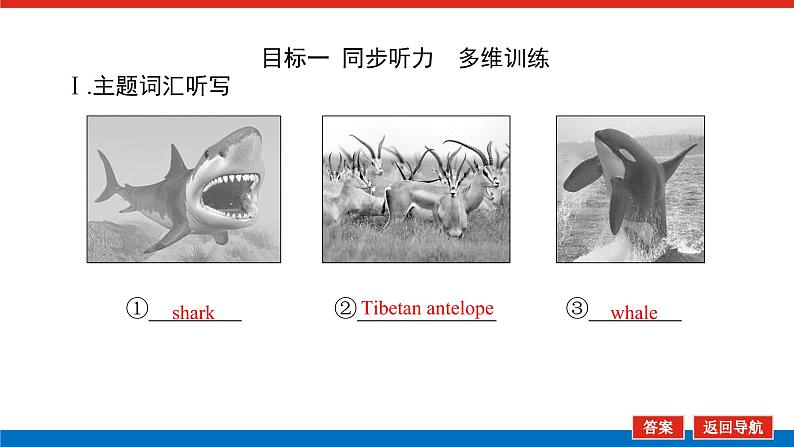 新人教版高中英语必修第二册UNIT 2 WILDLIFE PROTECTION导学案+课件03