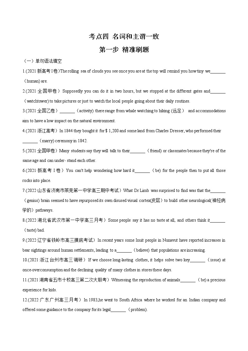 2023英语高考命题总复习----名词和主谓一致01