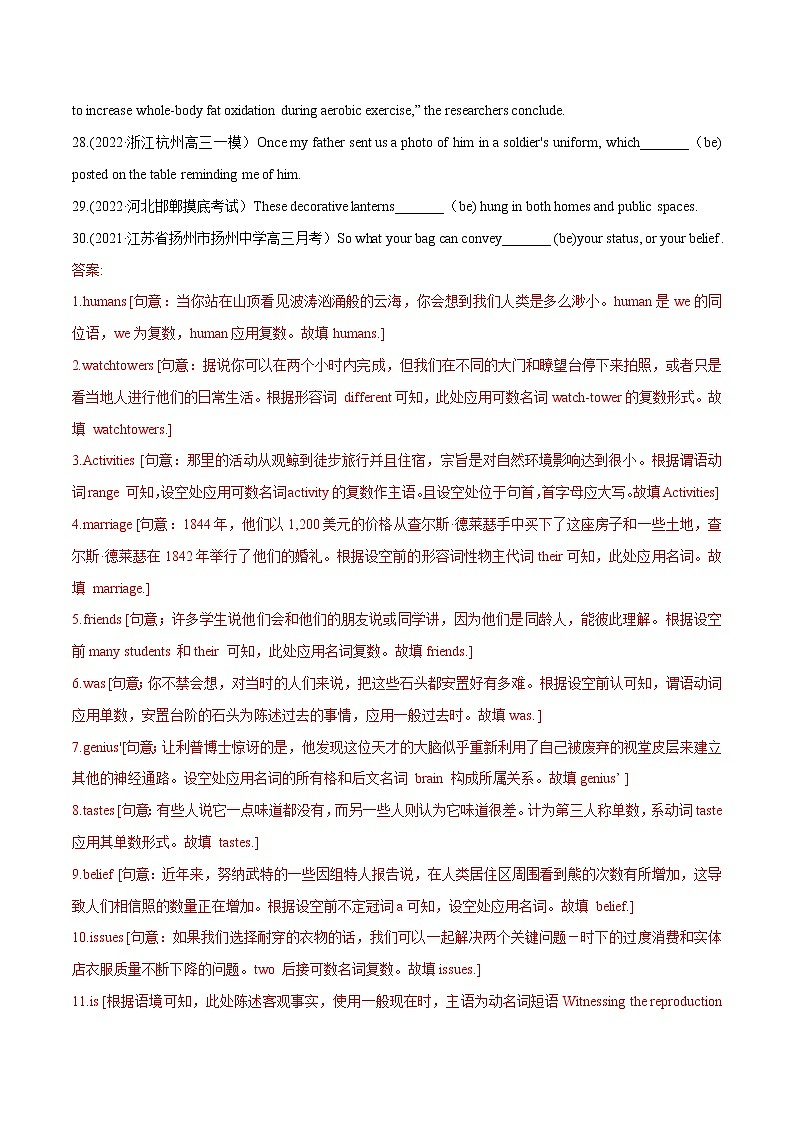 2023英语高考命题总复习----名词和主谓一致03