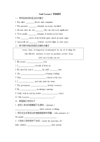 高中英语北师大版 (2019)必修 第二册Lesson 2 Professional Rescue Team同步训练题