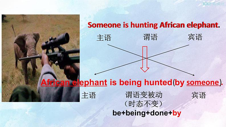 高中英语必修二 2.3  Wildlife protection Discovering Useful Structure 课件(共16张)第3页