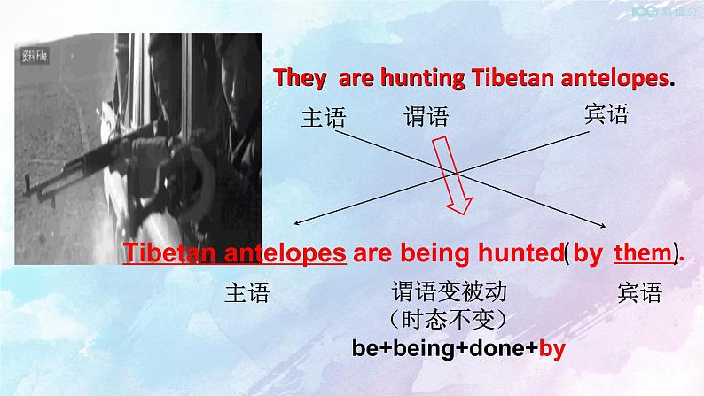 高中英语必修二 2.3  Wildlife protection Discovering Useful Structure 课件(共16张)第4页