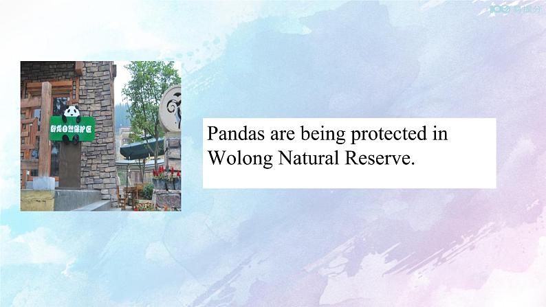 高中英语必修二 2.3  Wildlife protection Discovering Useful Structure 课件(共16张)第5页