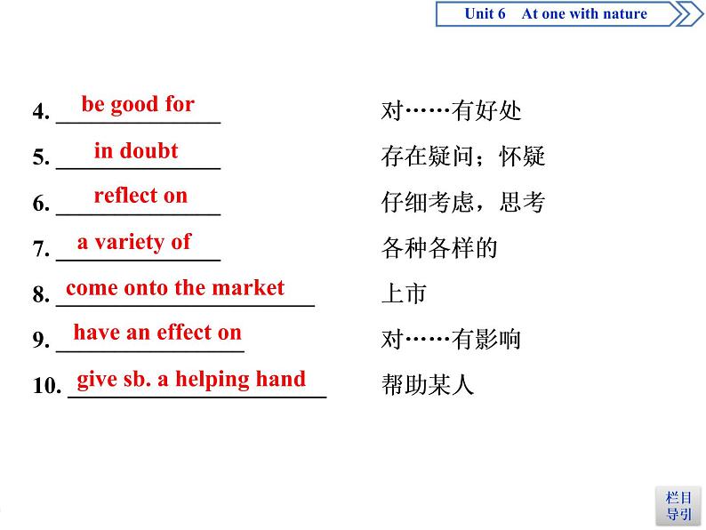 Unit 6 Section Ⅱ　Integrating skills & Developing ideas(PPT课件）05