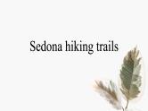 2023届高考英语复习：读后续写：Sedona hiking trails 课件