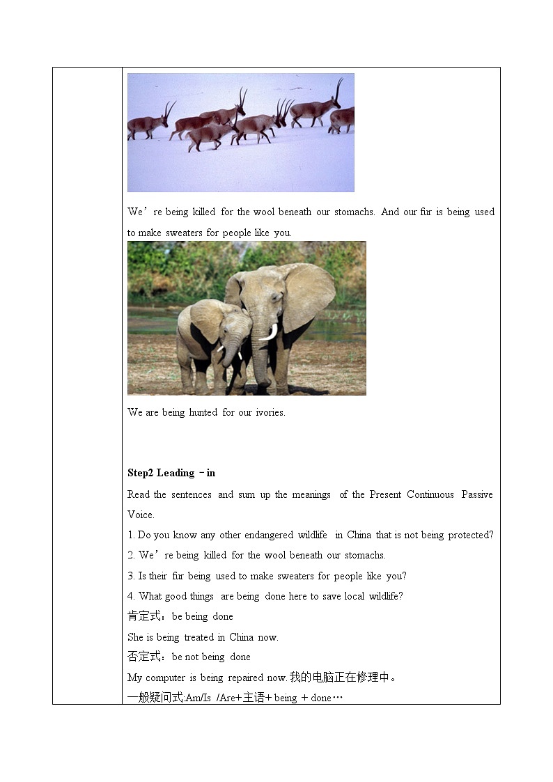 2019年人教版英语必修二U2Wildlife protection   (第3课时)课件+教案+练习02