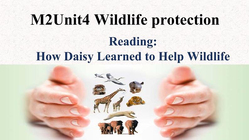 必修第二册Unit 4 History and traditions reading help wildlife 课件第2页