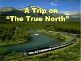 必修3 Unit 5 Canada – “The True North” Reading 课件