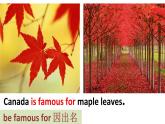 必修3 Unit 5 Canada – “The True North” Reading 课件