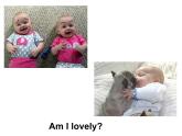 必修4 Unit 3 A taste of English humour Reading-humour 课件