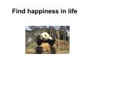 必修4 Unit 3 A taste of English humour Reading-humour 课件