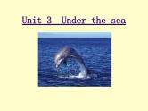 选修7 Unit 3 Under the sea Reading 课件