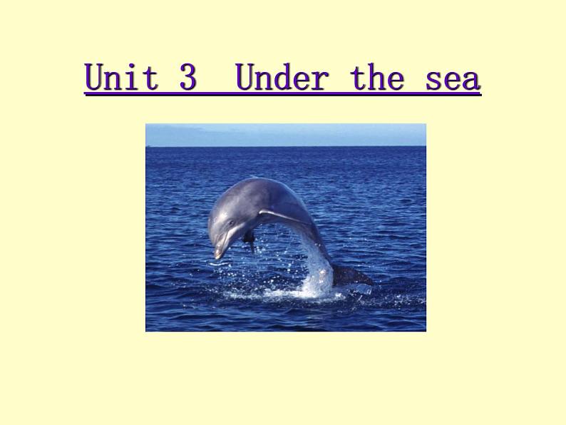 选修7 Unit 3 Under the sea Reading 课件01