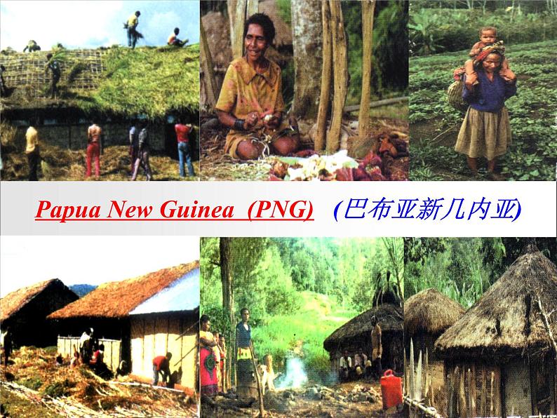 选修7 Unit 4 Sharing 课件第7页